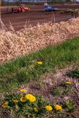 た・ん・ぽ・ぽ