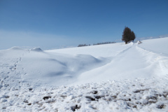 まだ　あるけない