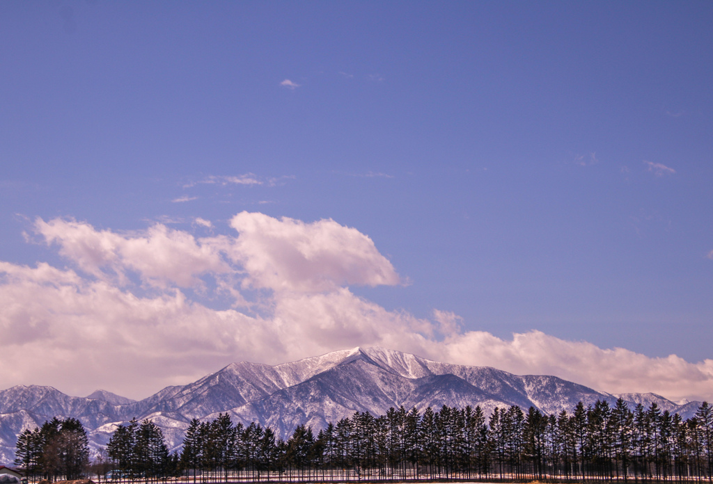 おおいなる　じんせい