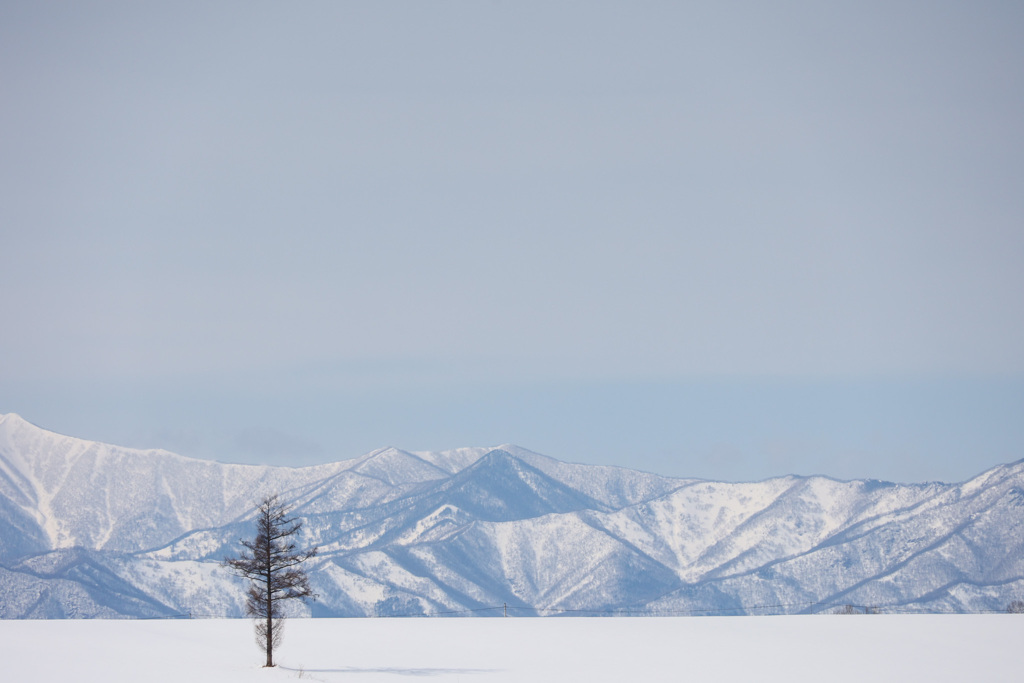 ただ　いっぽん
