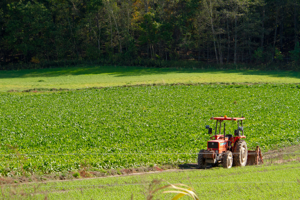 きゅうけいちゅう