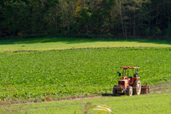 きゅうけいちゅう