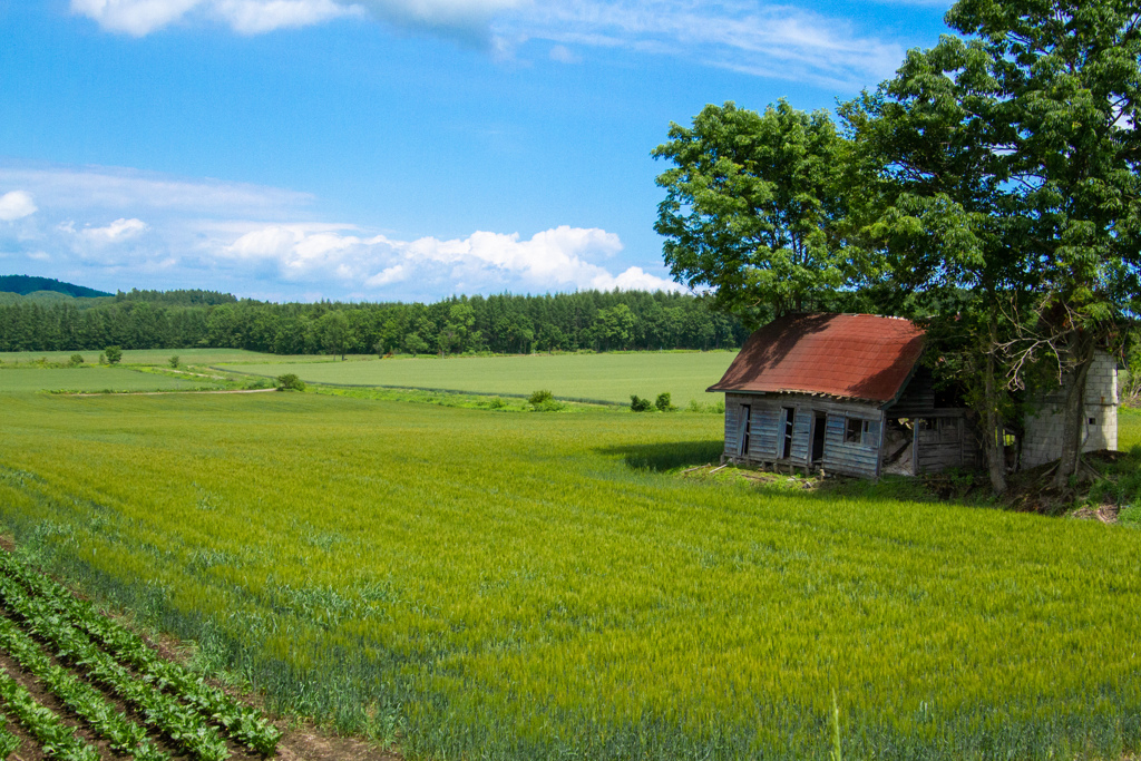 みまもっててね！