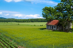 みまもっててね！