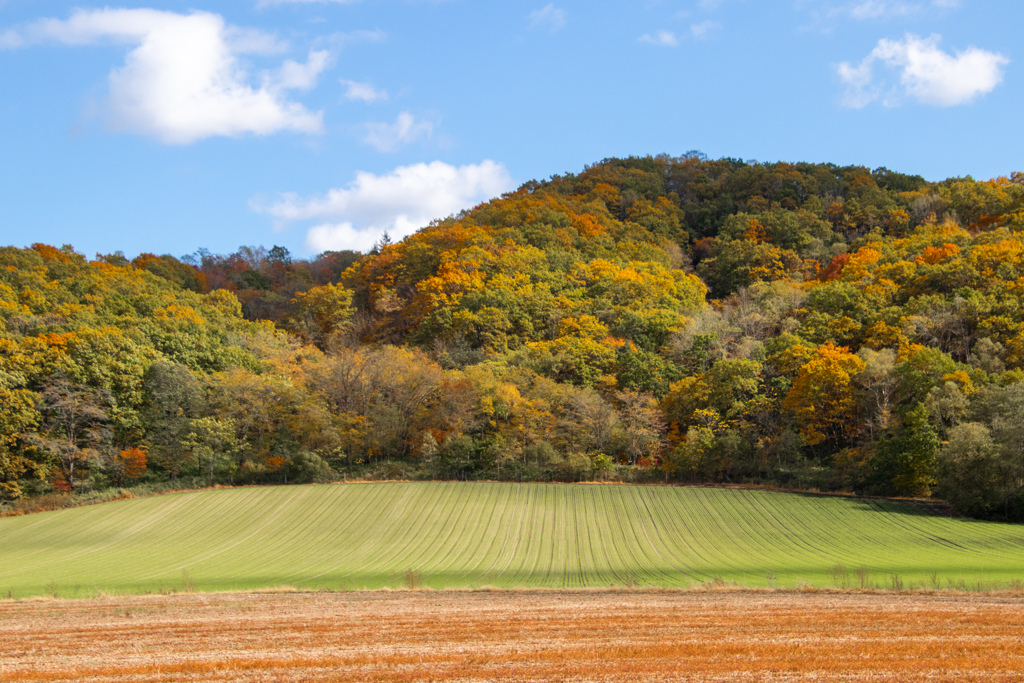 あきの　はたけ