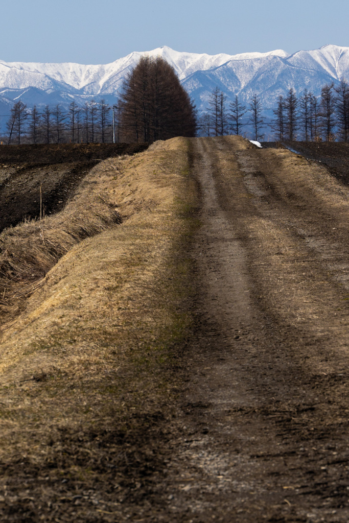 みえてきた　みち