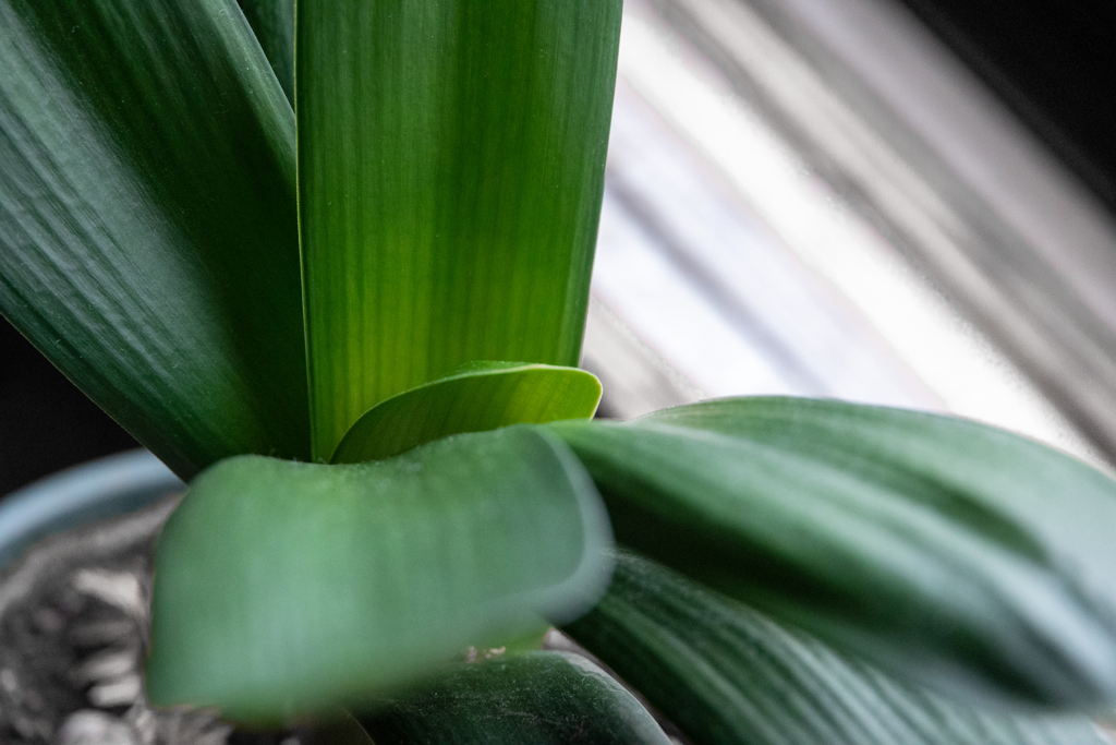 きょうも　じめじめ