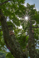 みどりの　こうえん