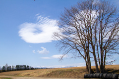 き　と　たいや