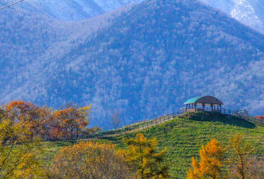 むかしの　あきいろ