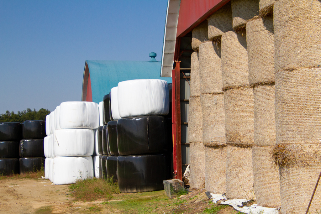 ふゆを　まえに