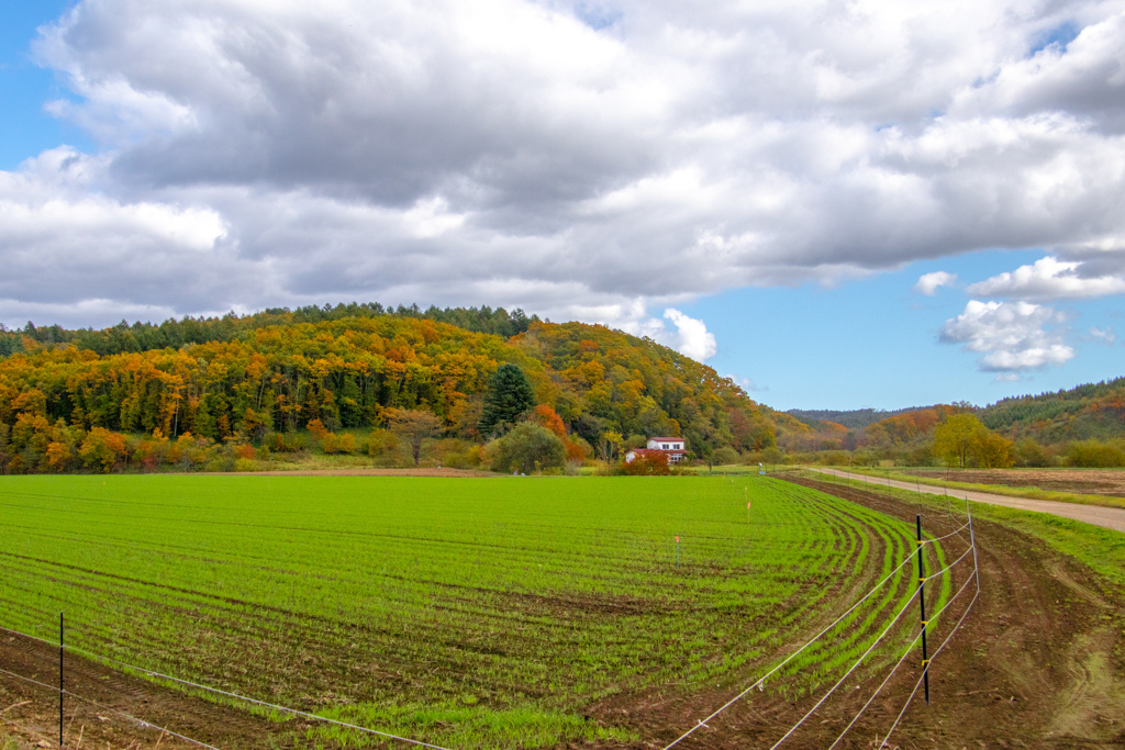 あきの　はたけ