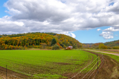 あきの　はたけ