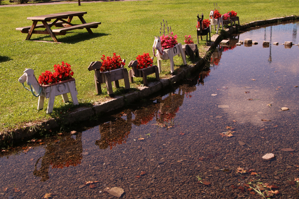 いいから、ついておいで。