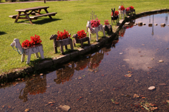 いいから、ついておいで。