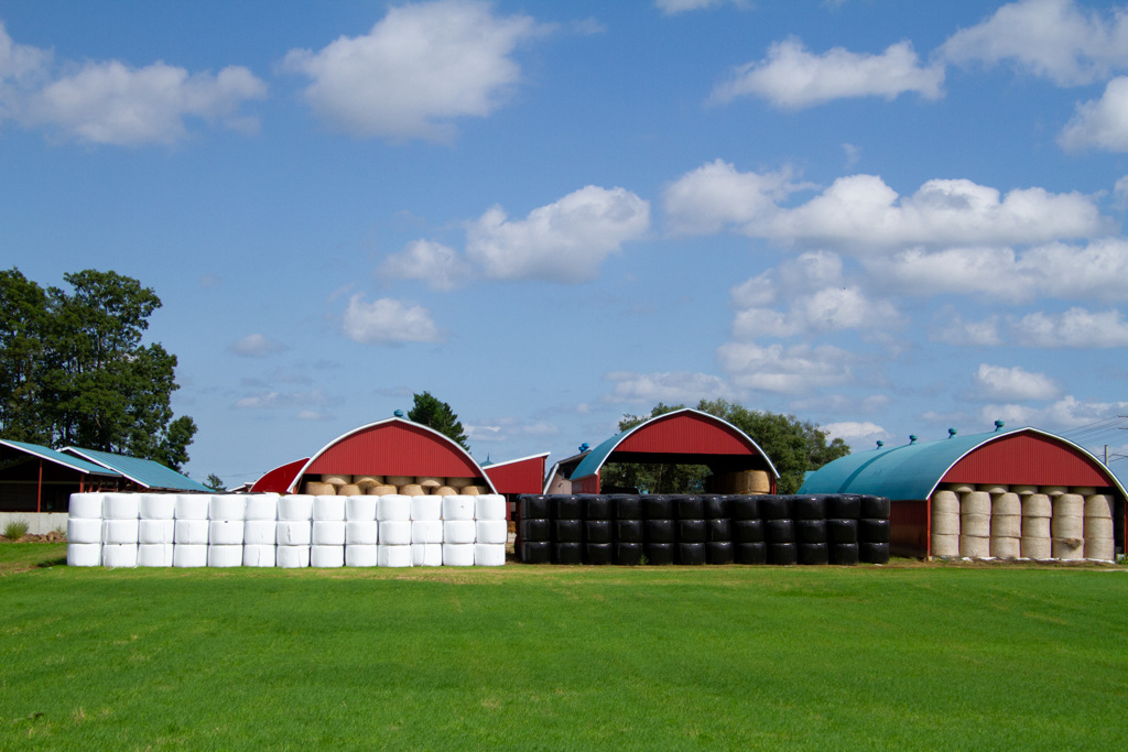 うしの　ための　ふうけい
