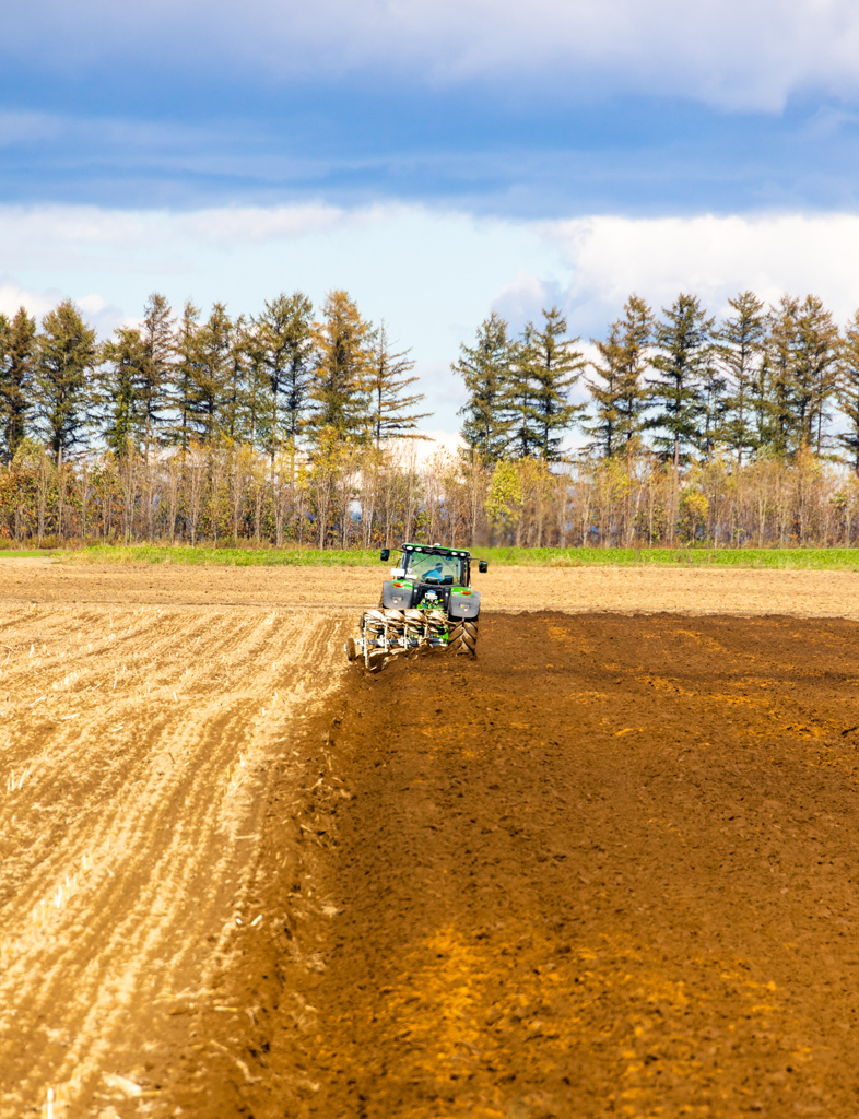 あきの　はたけ