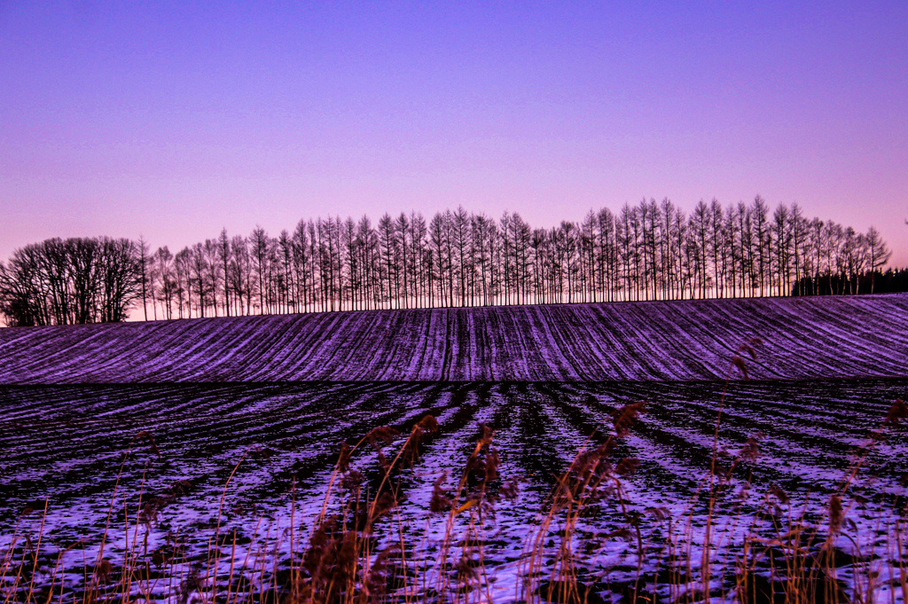 ひっそり　たたずむ