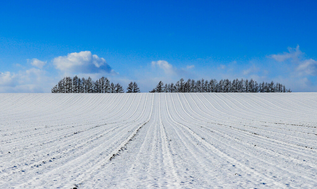 ふっちゃいました