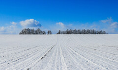 ふっちゃいました