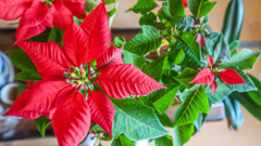 もう　そろそろですね