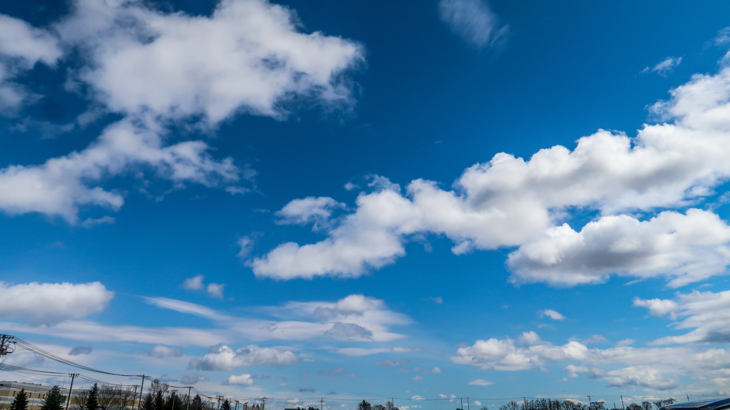 きょうの　はる