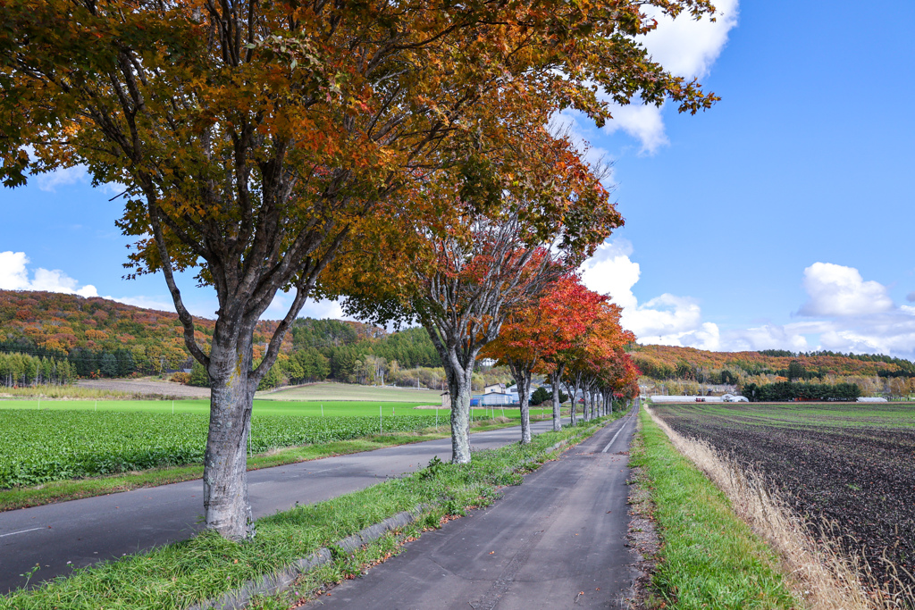 あき・あき・あき