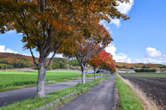 あき・あき・あき