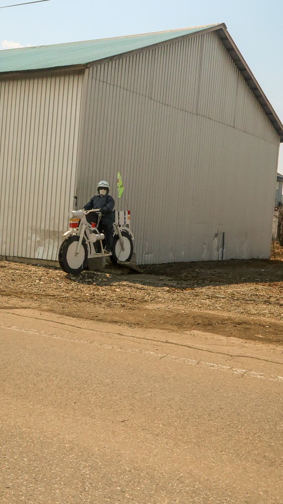 こっち　みてる