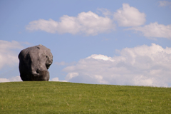 おおきな　いし