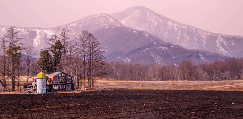 ある　ひ　はる