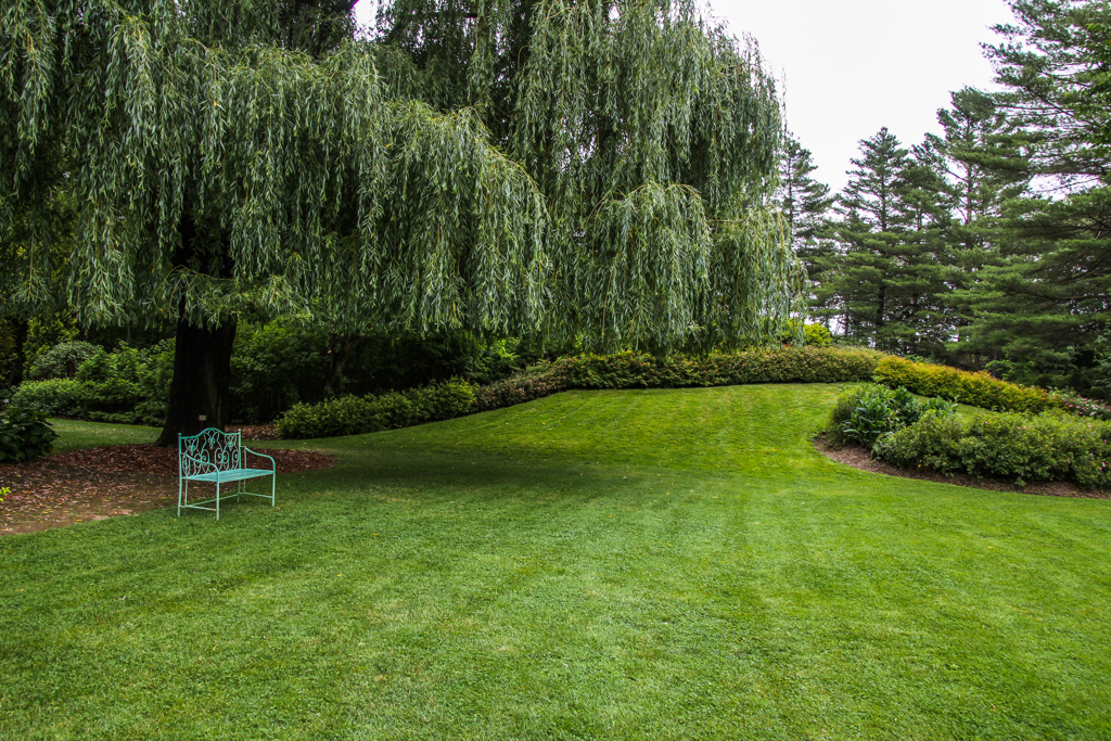 みどりのなかの　みどりのベンチ