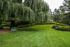 みどりのなかの　みどりのベンチ