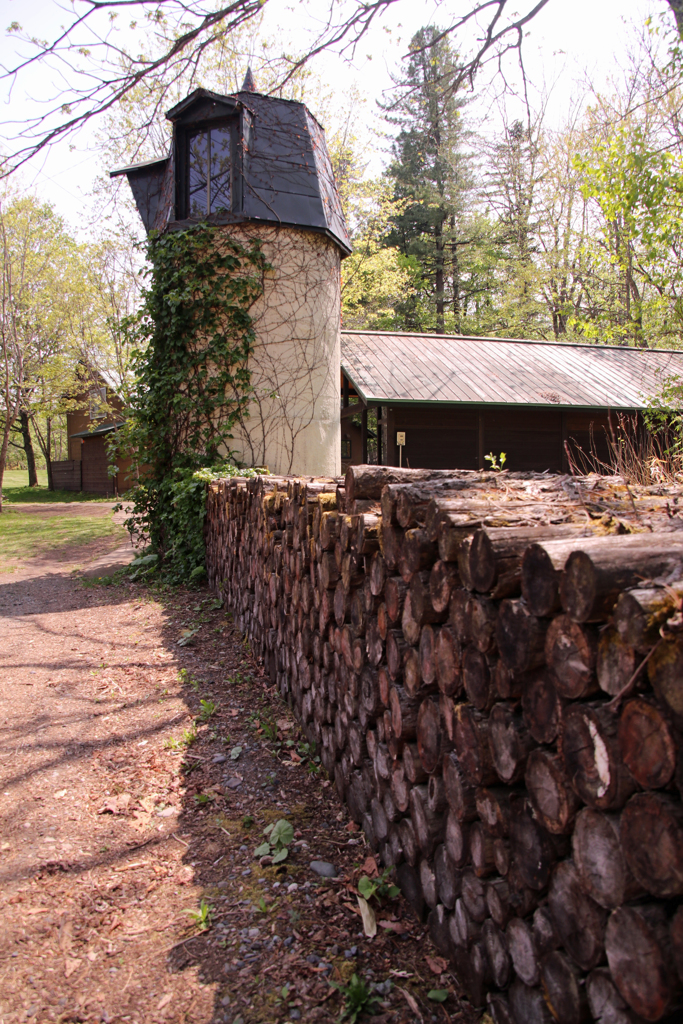 いつまでも　みつめてました