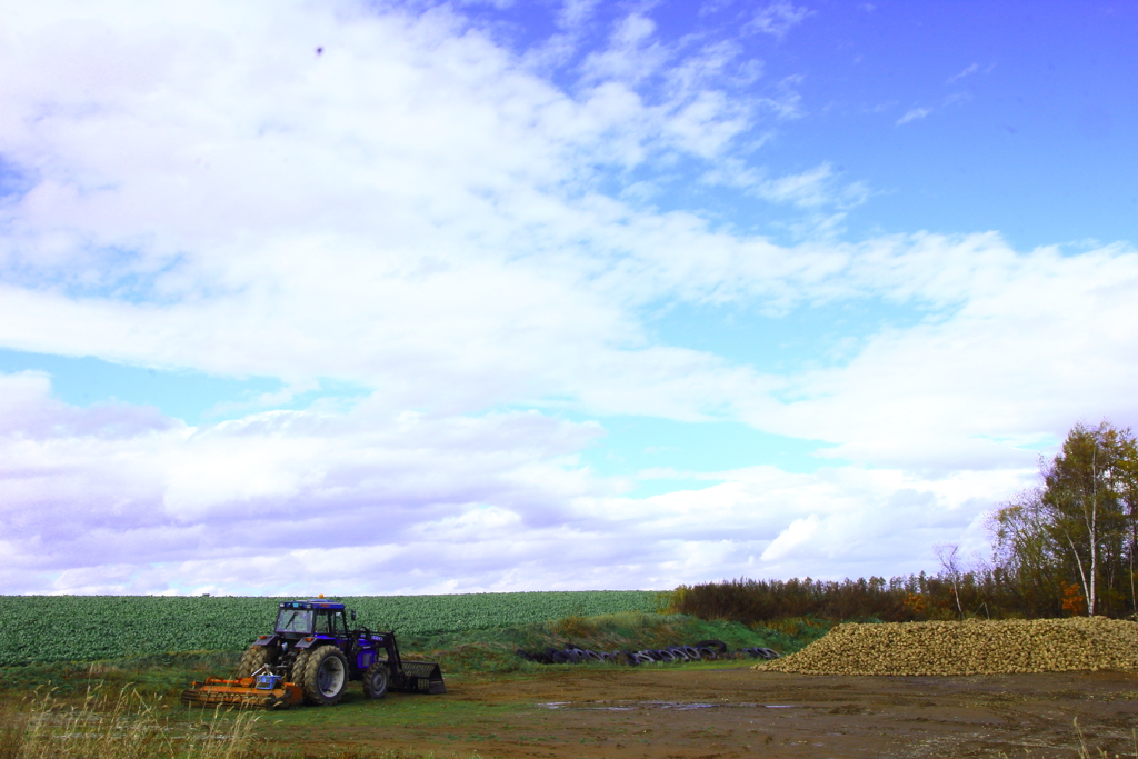 しずかにひとやすみ