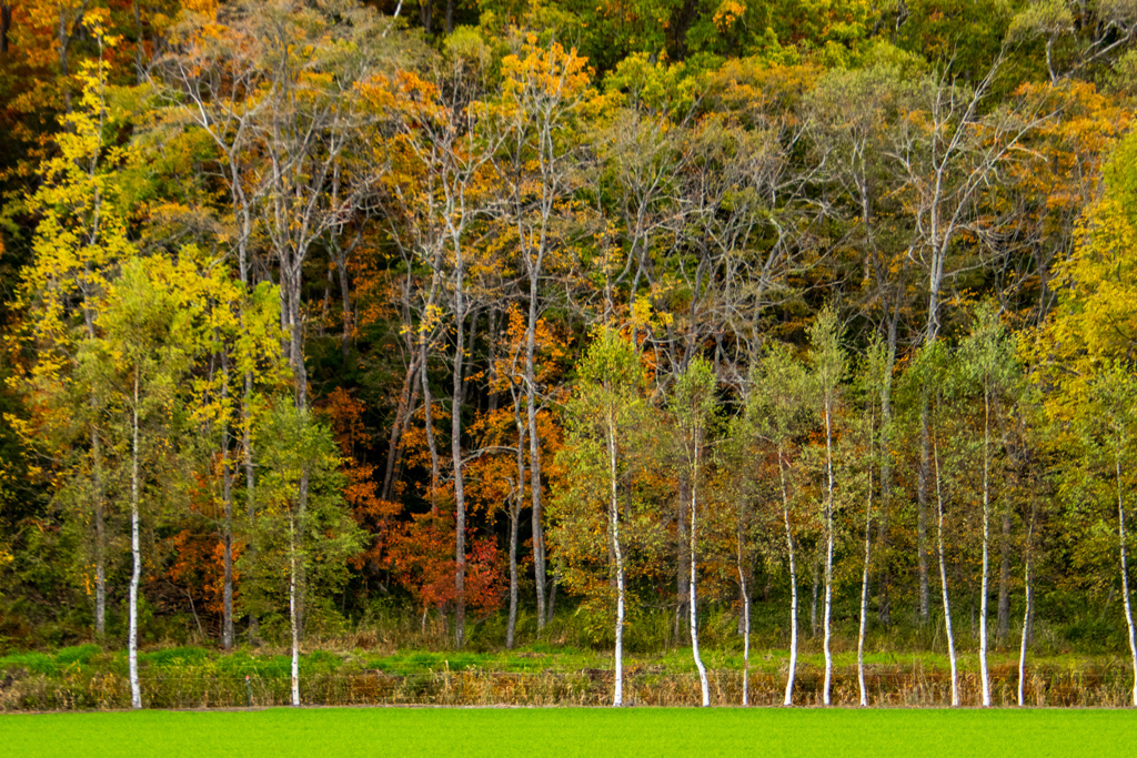 あき　あき　あき
