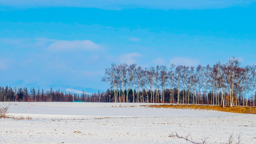 ゆきだ　ゆきだ