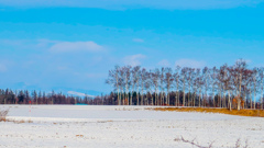 ゆきだ　ゆきだ