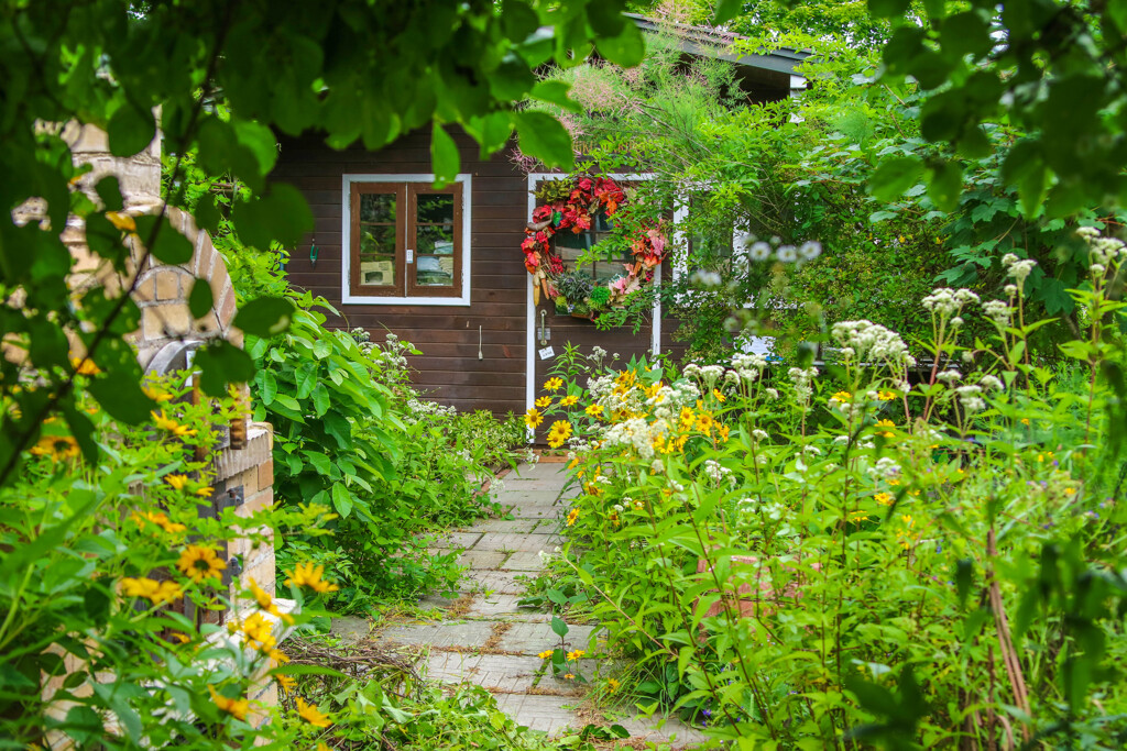 みどりの　なかに　・・・・・・