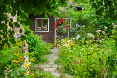 みどりの　なかに　・・・・・・