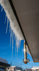 ふゆの　ふうけい