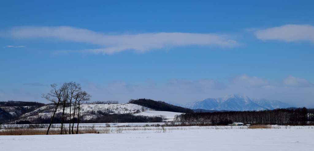 ひっそりかんと　いきをすましてさ