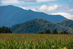 やま　と　とうきび