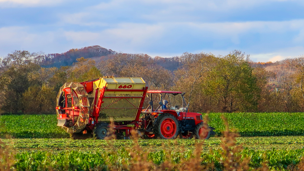 びーと　びーと　びーと