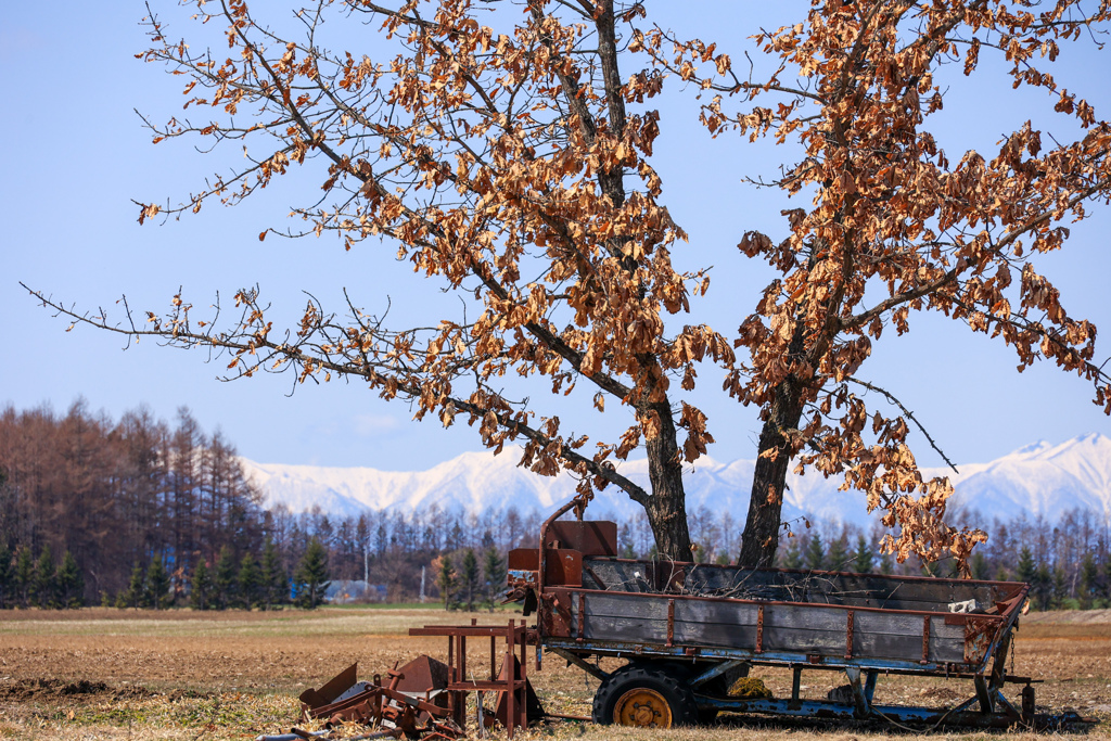 あたたかく　なって