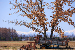 あたたかく　なって