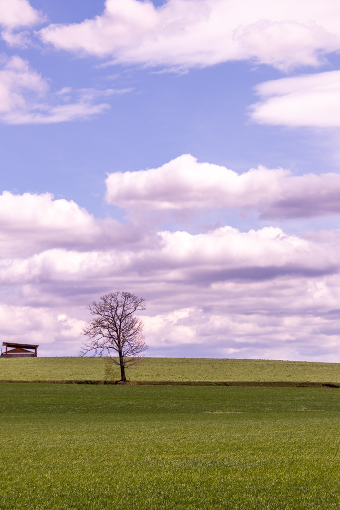 いつもの　こうけい