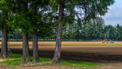 ちょっと　きゅうけい