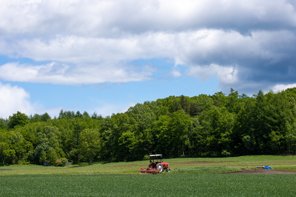 きゅうけいちゅう