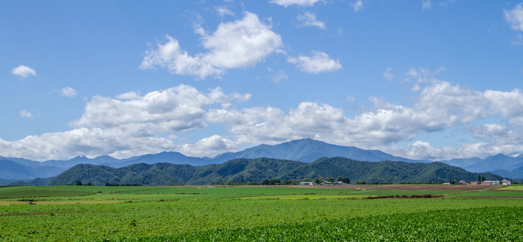 なつの　おわり